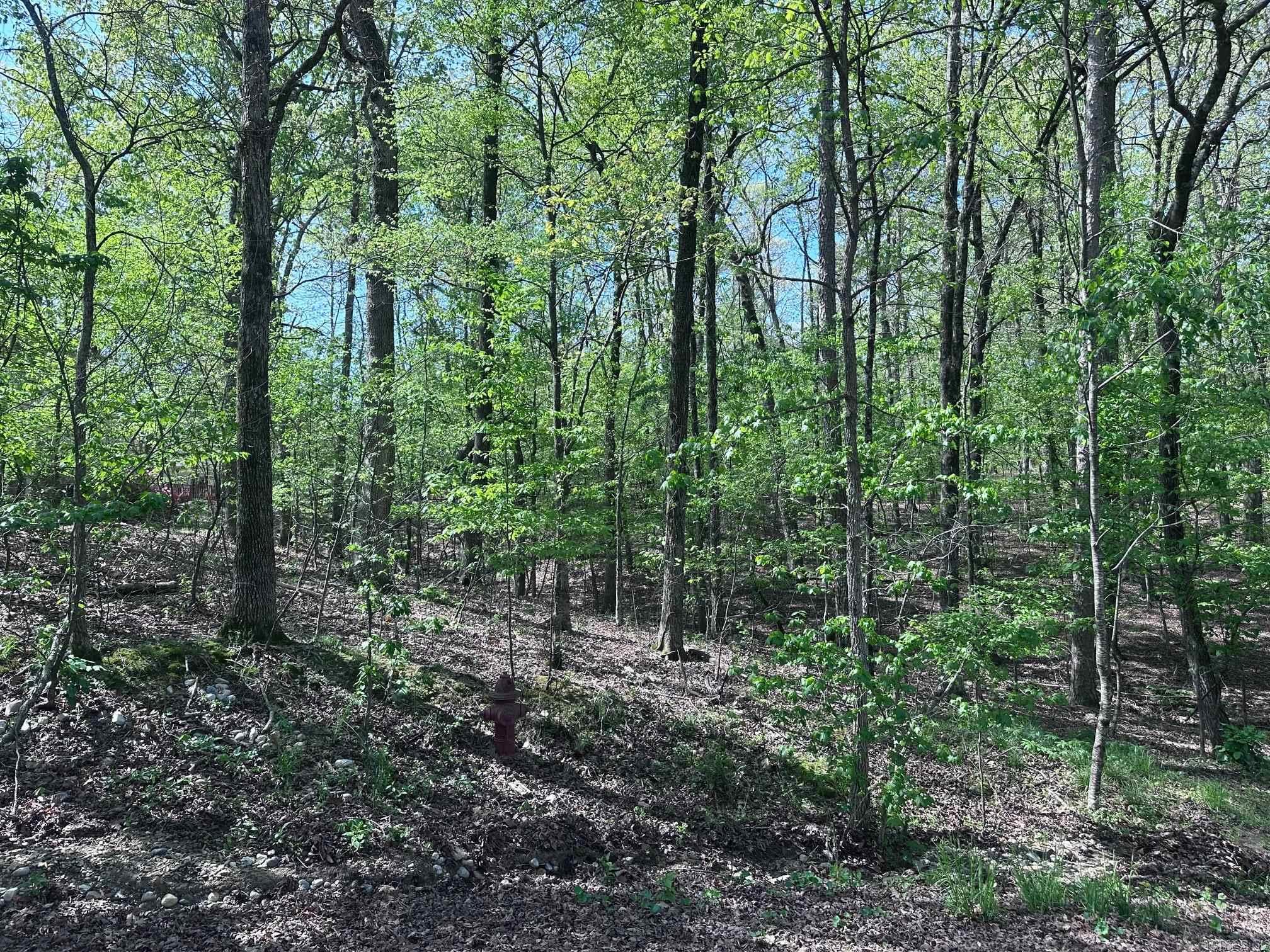 47 Rubi Circle  Hot Springs Village, AR