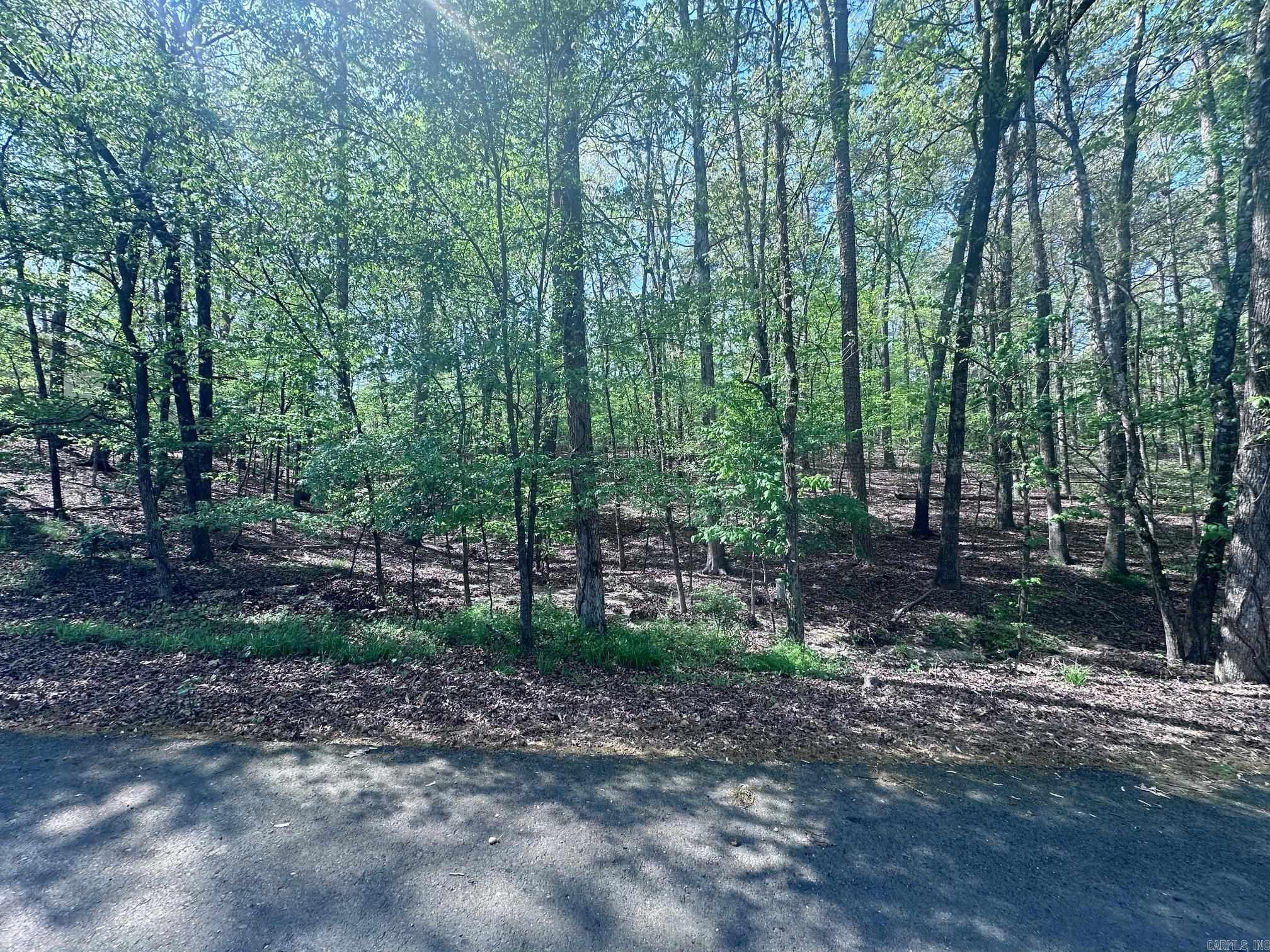 47 Rubi Circle  Hot Springs Village, AR