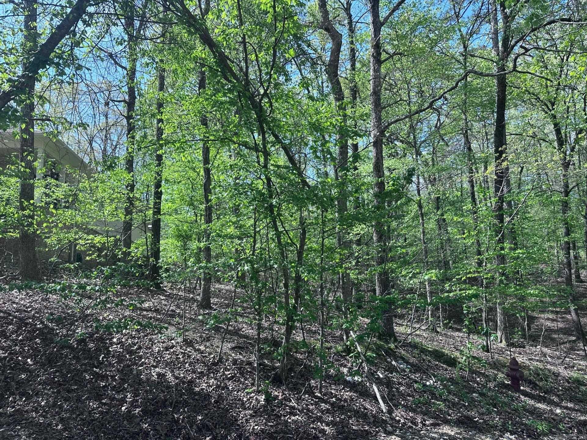 47 Rubi Circle  Hot Springs Village, AR