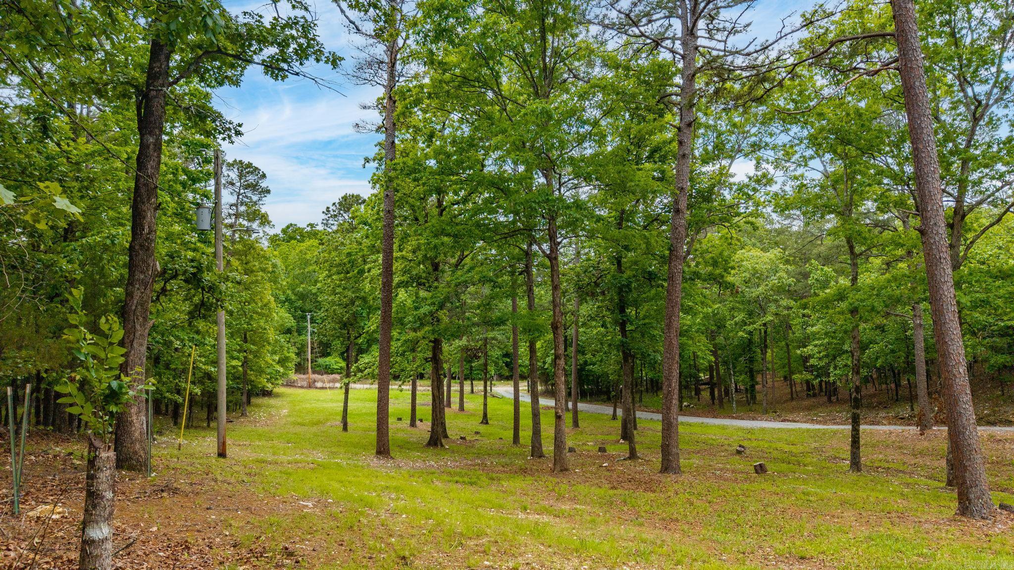 5400 Squirrel  Alexander, AR