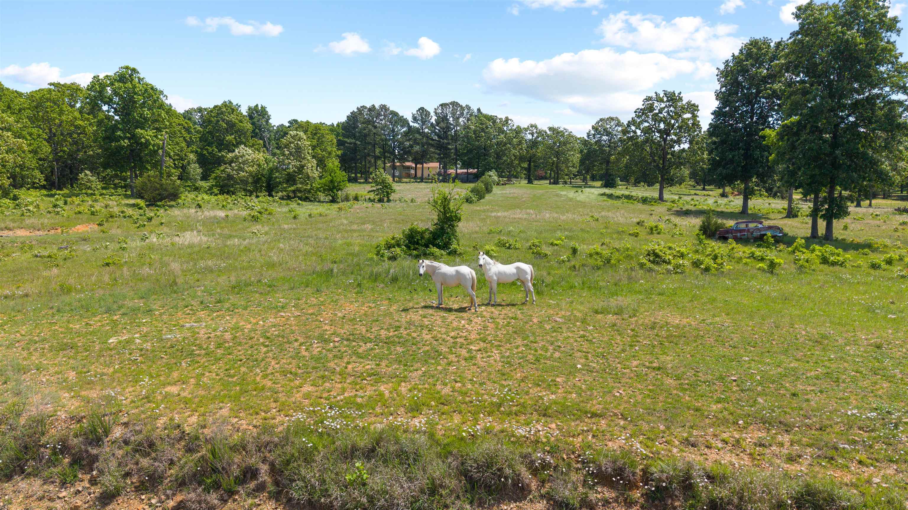 3555 Highway 167  Ash Flat, AR