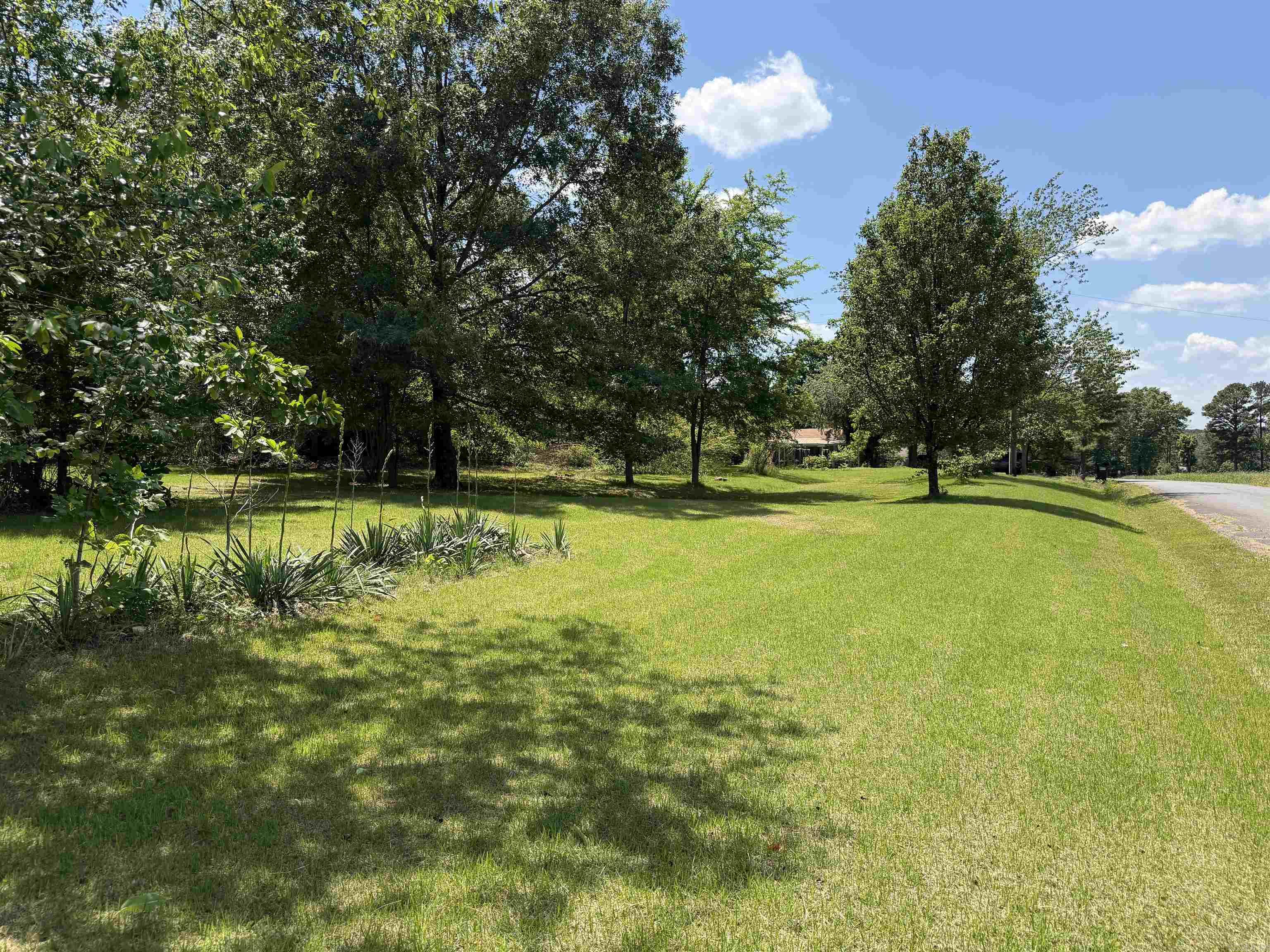 99 Johnston  Greers Ferry, AR