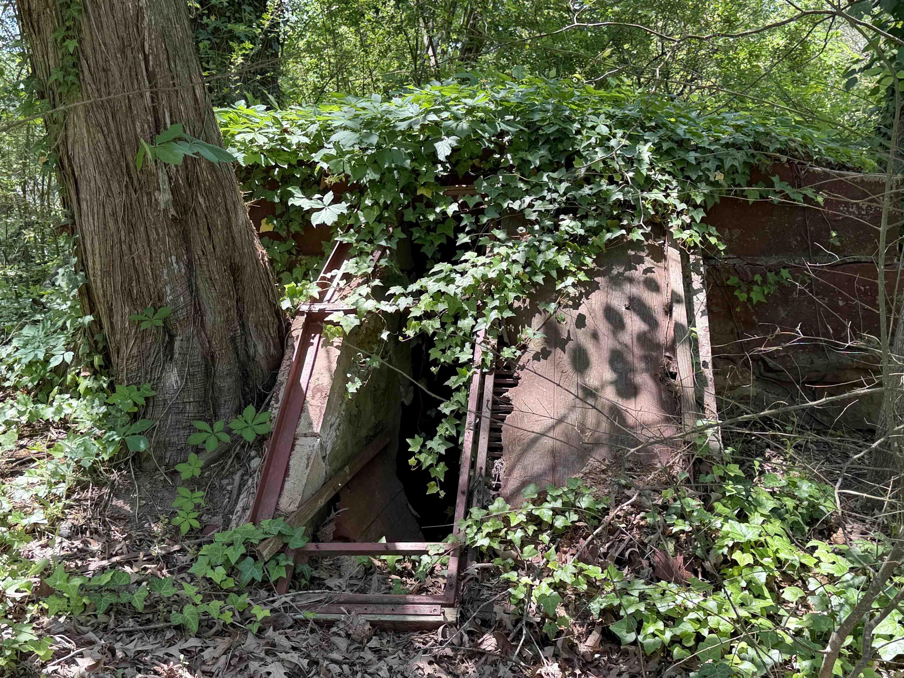 99 Johnston  Greers Ferry, AR