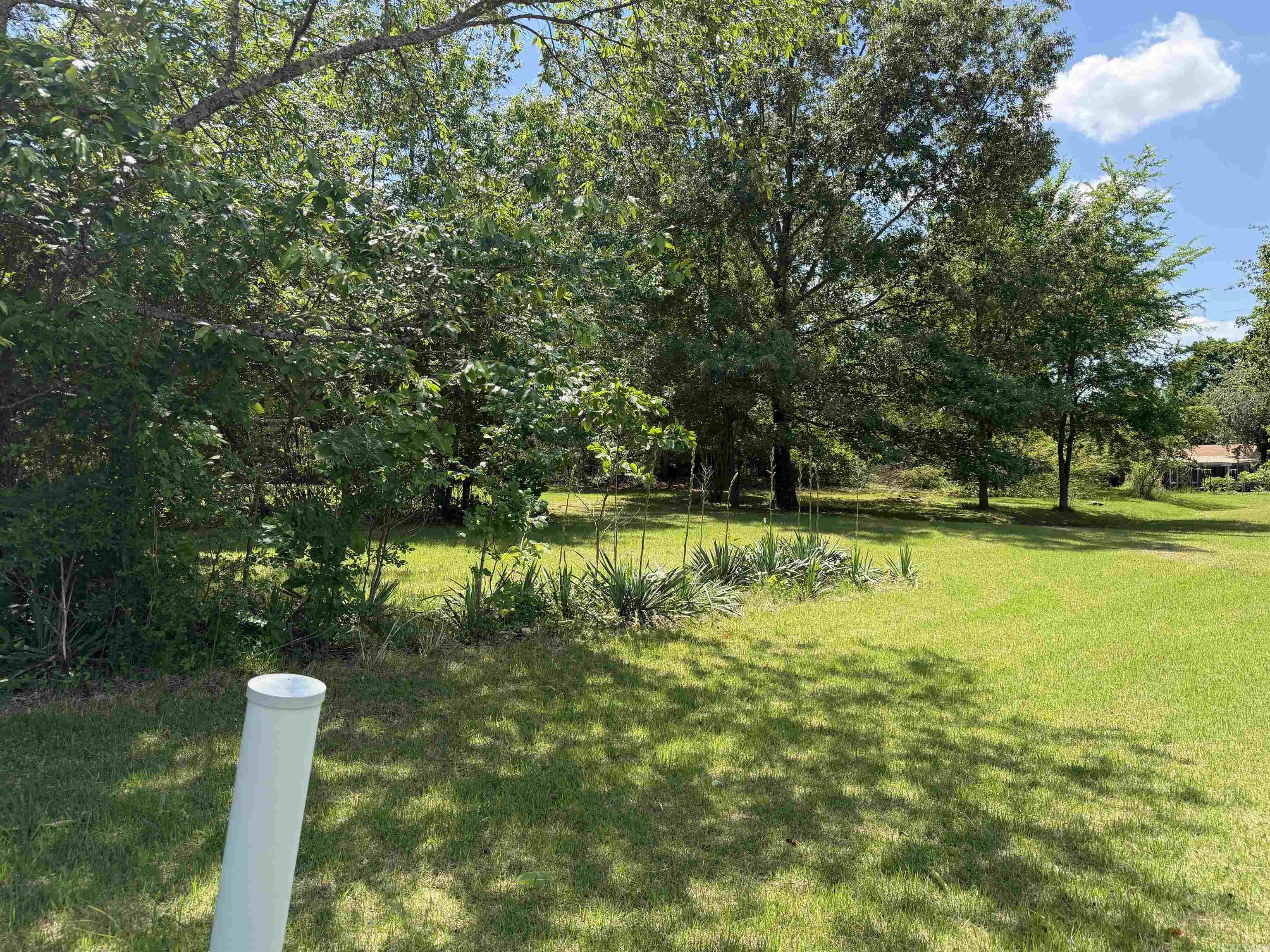 99 Johnston  Greers Ferry, AR