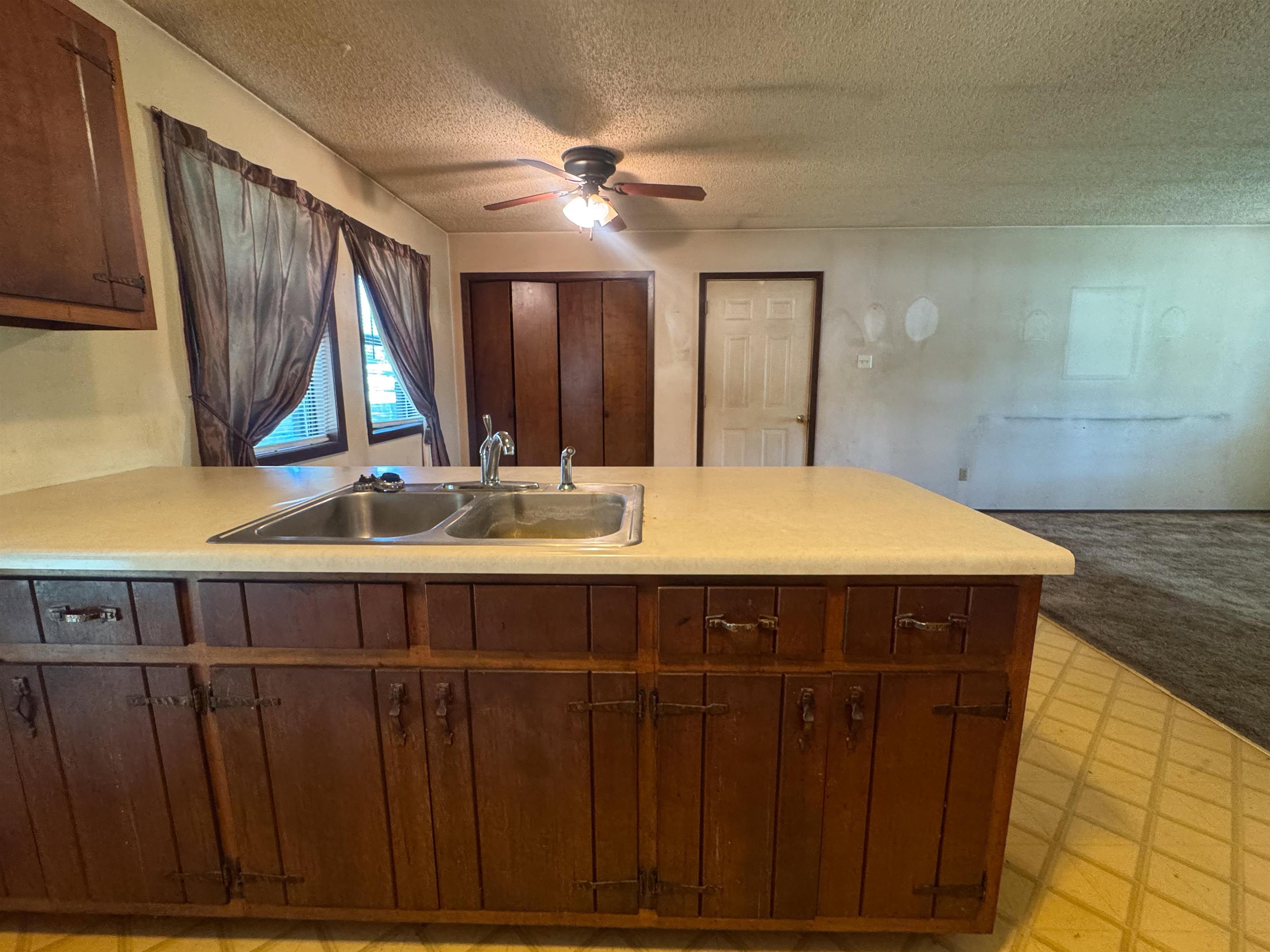 153 Sara  Ash Flat, AR