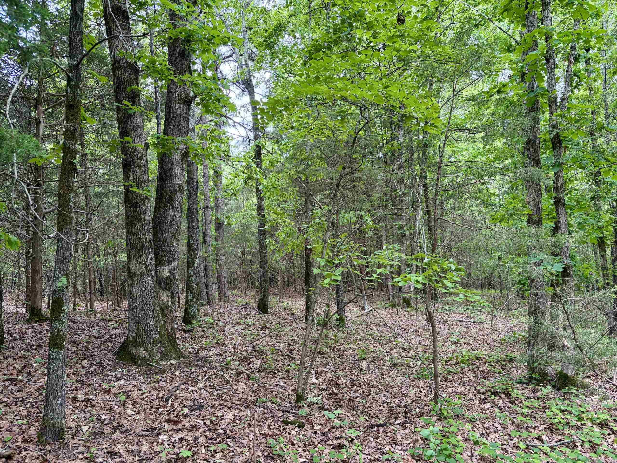 530 Sidon Road  Rose Bud, AR