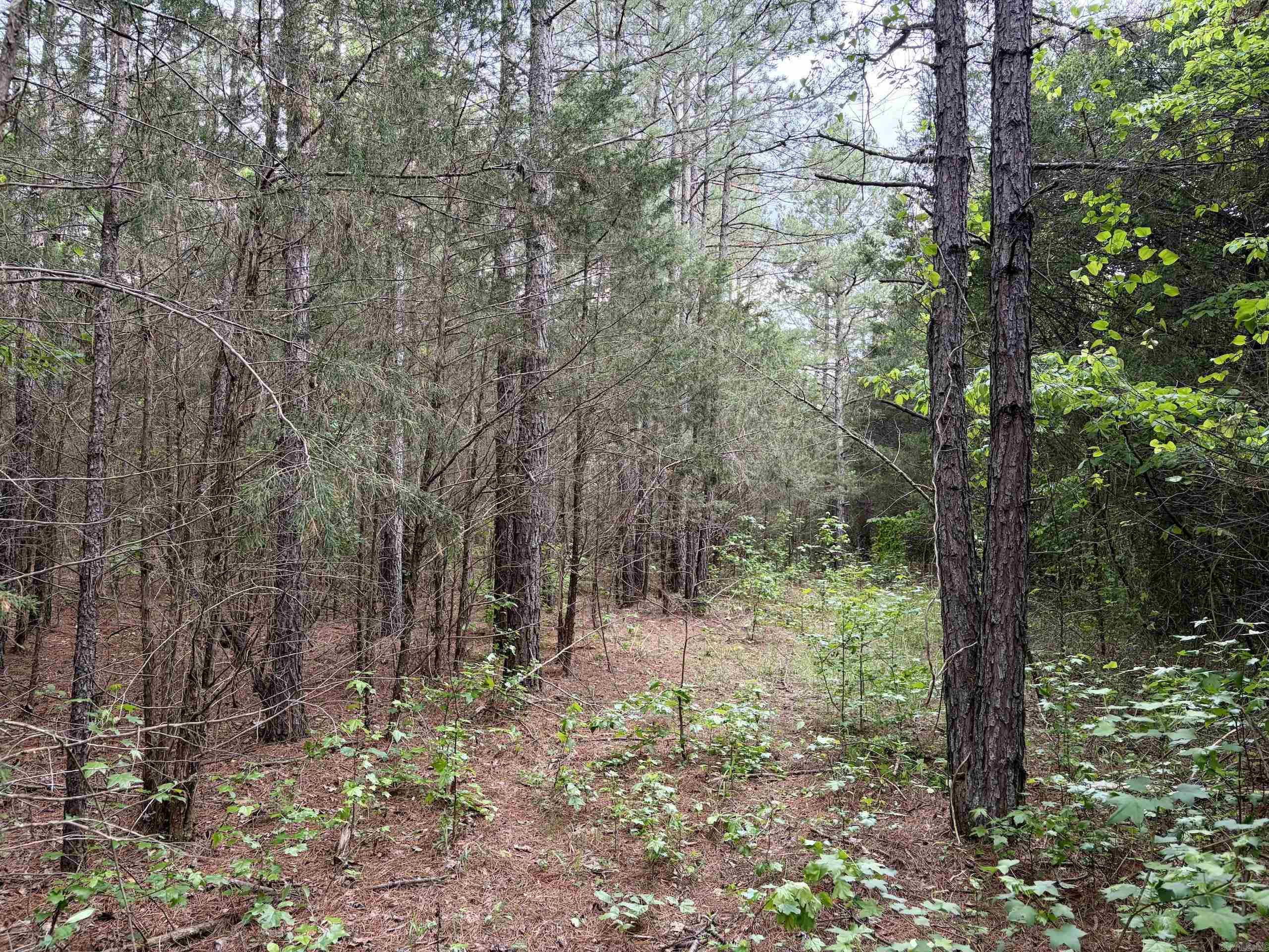 530 Sidon Road  Rose Bud, AR