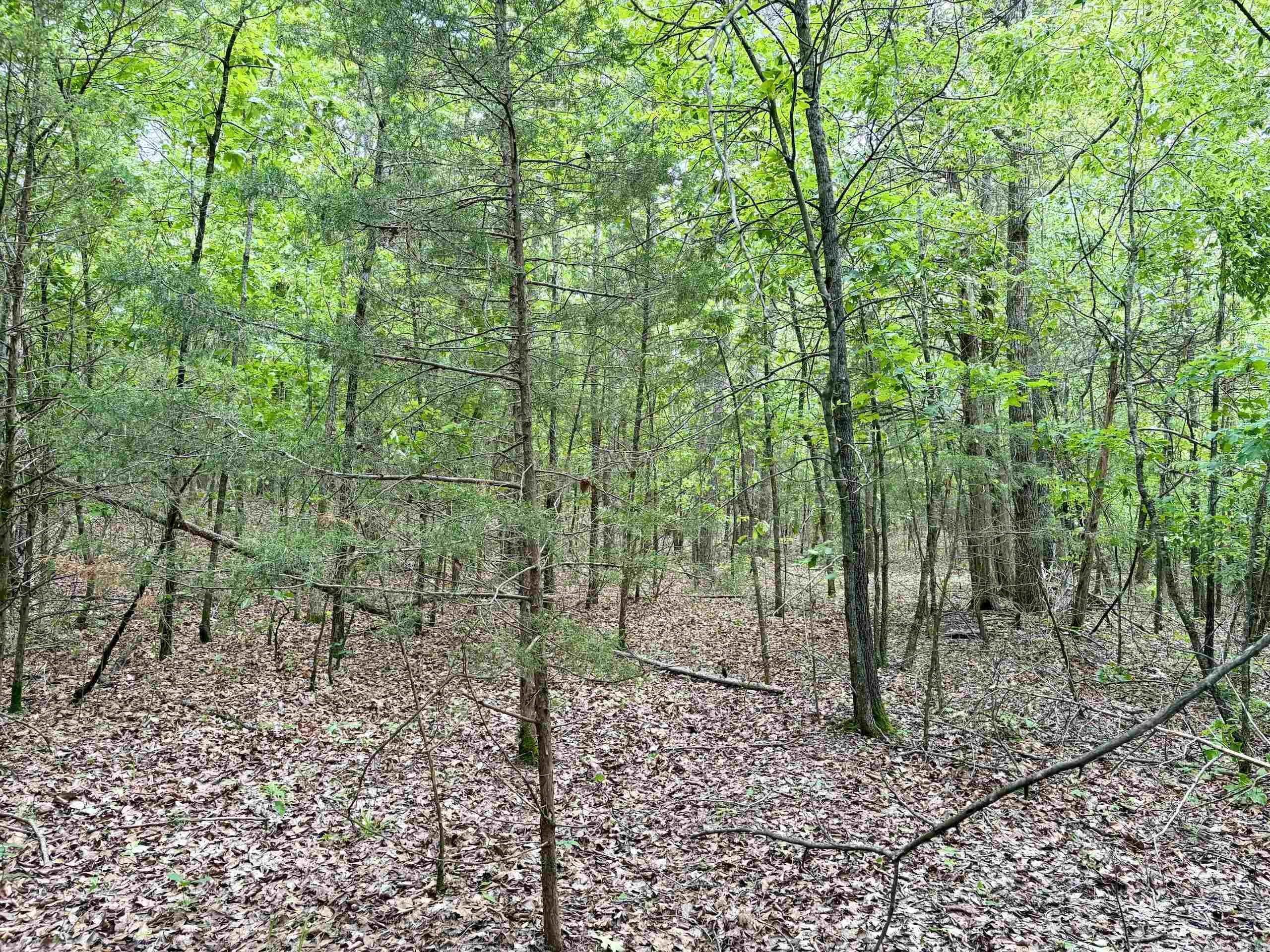 530 Sidon Road  Rose Bud, AR