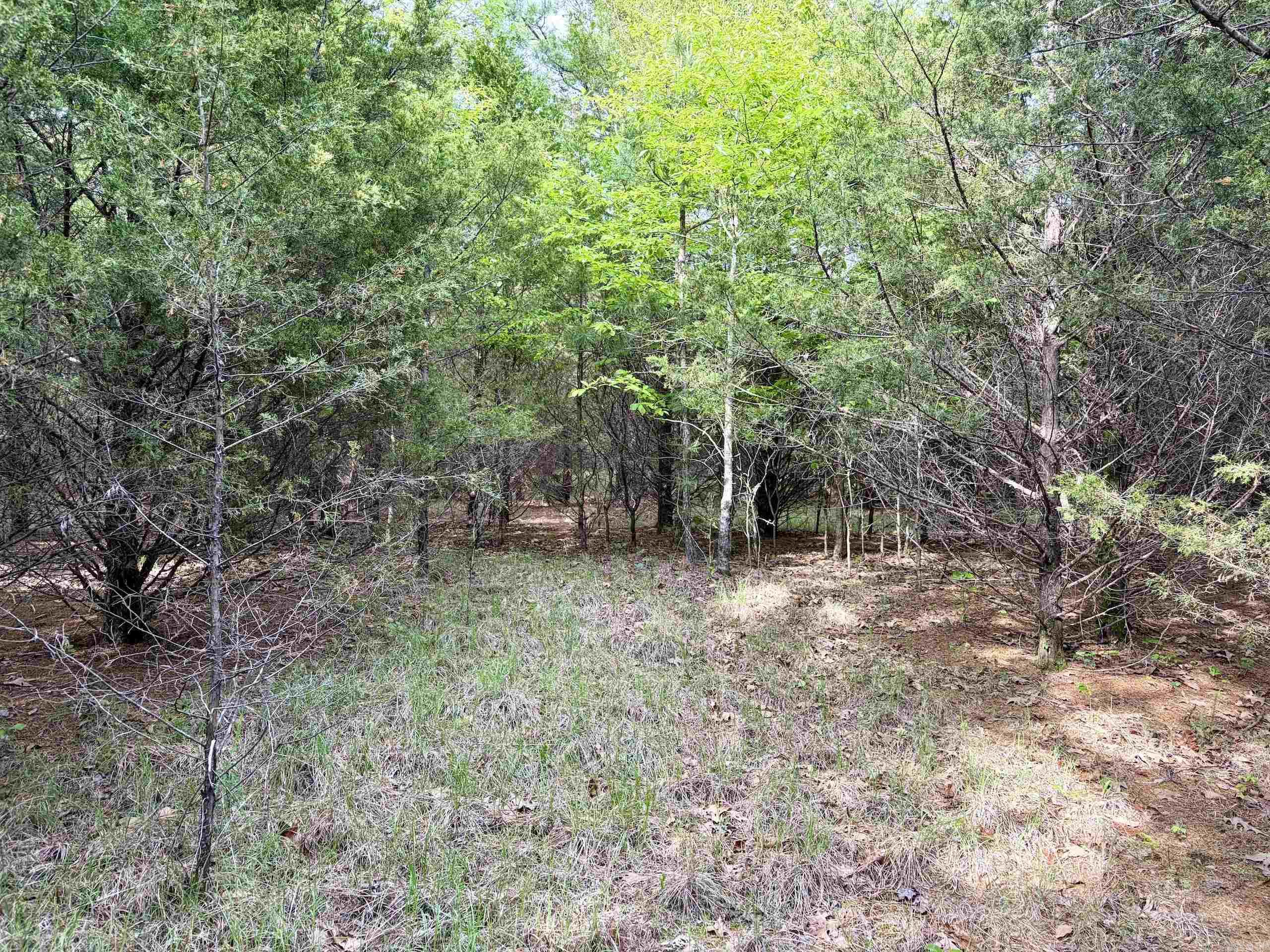 530 Sidon Road  Rose Bud, AR
