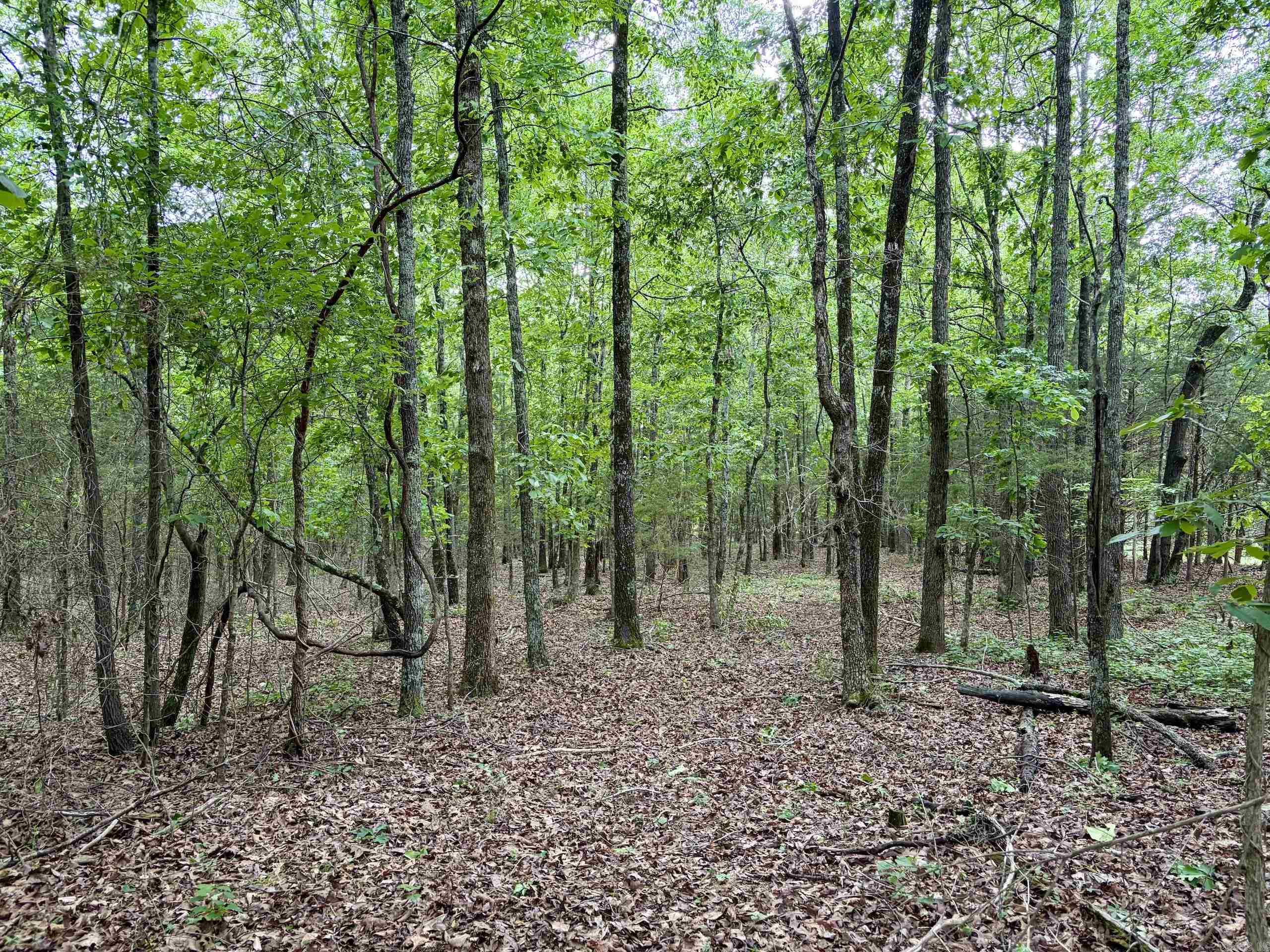 530 Sidon Road  Rose Bud, AR