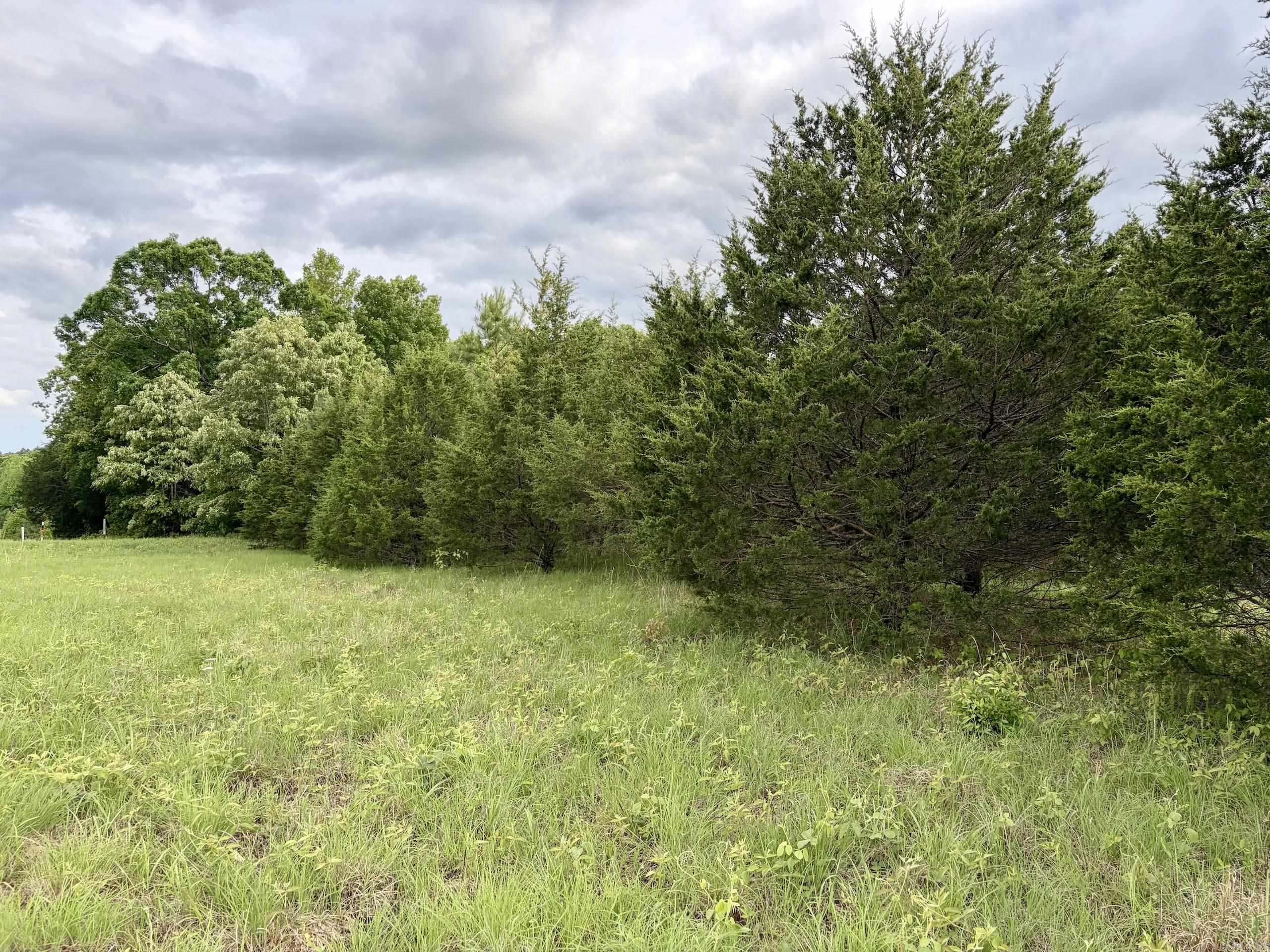 530 Sidon Road  Rose Bud, AR