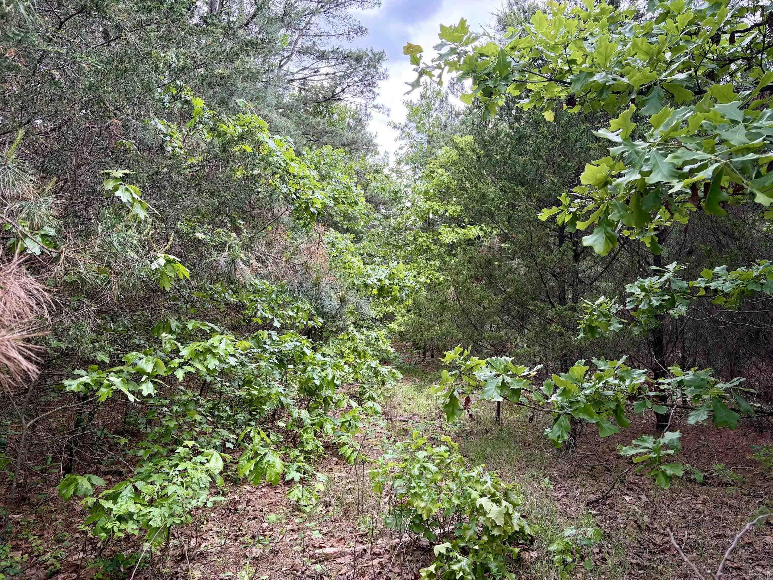 530 Sidon Road  Rose Bud, AR