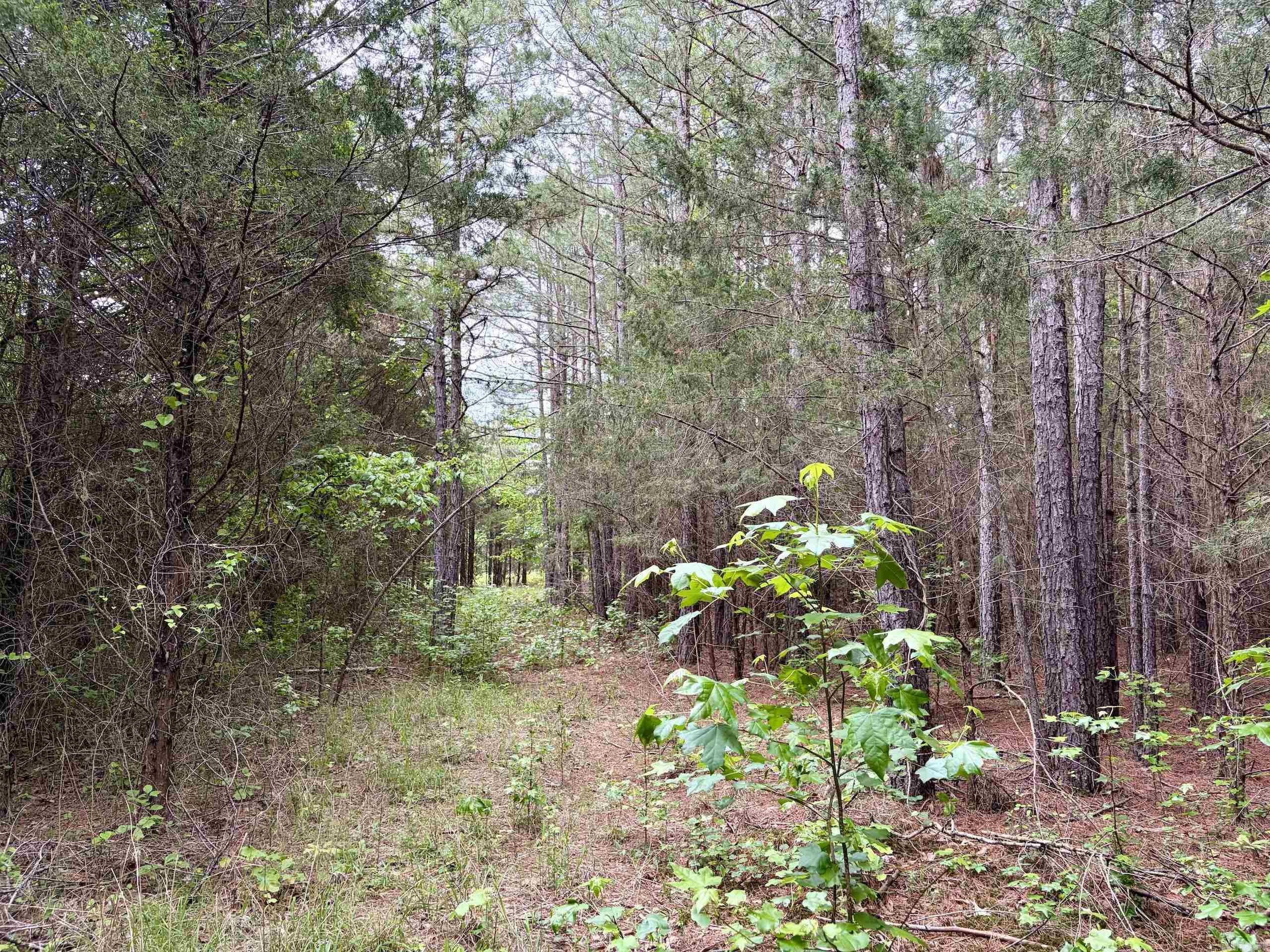530 Sidon Road  Rose Bud, AR
