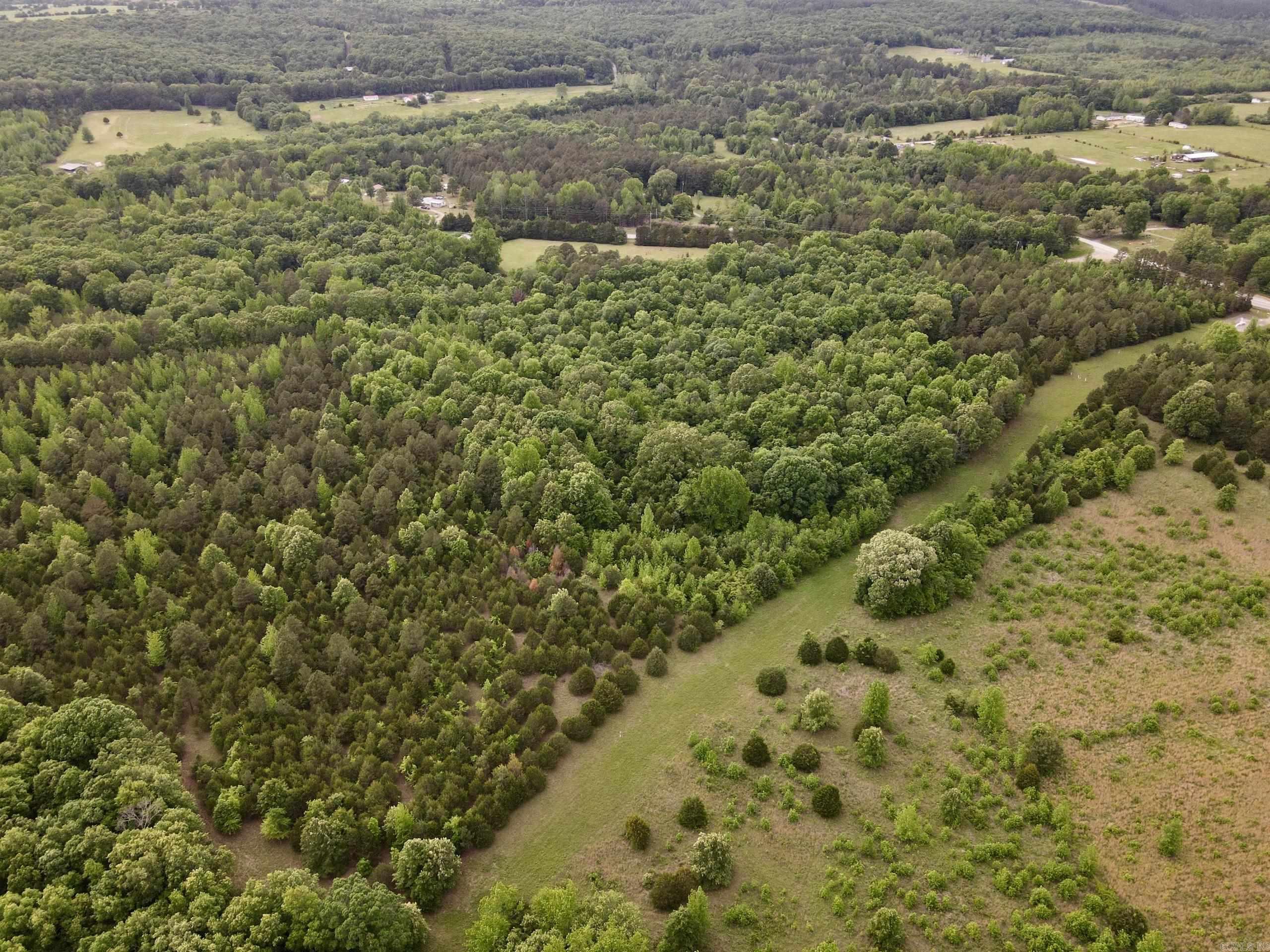 530 Sidon Road  Rose Bud, AR