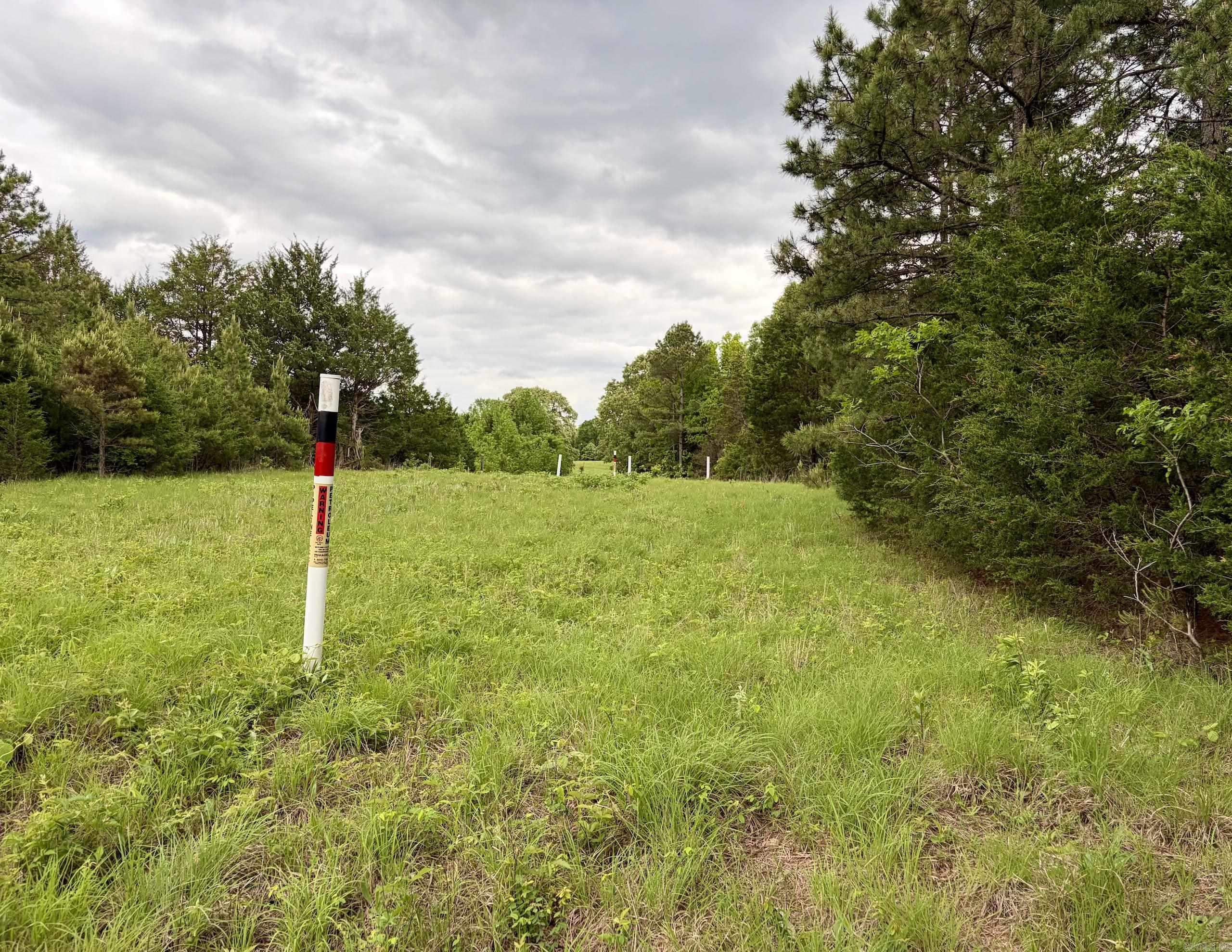 530 Sidon Road  Rose Bud, AR