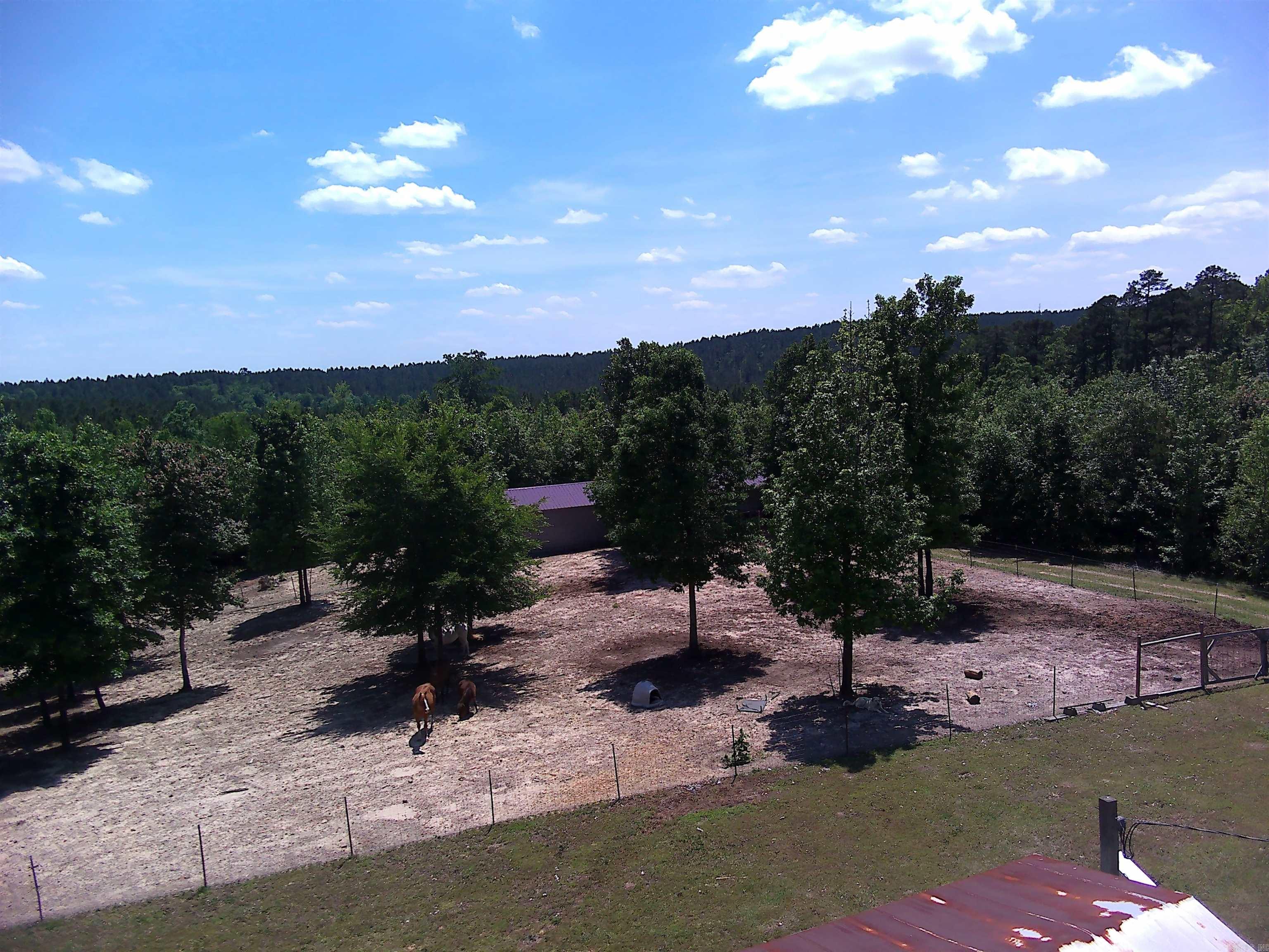 1417 Skyline Dr Amity, AR 71921