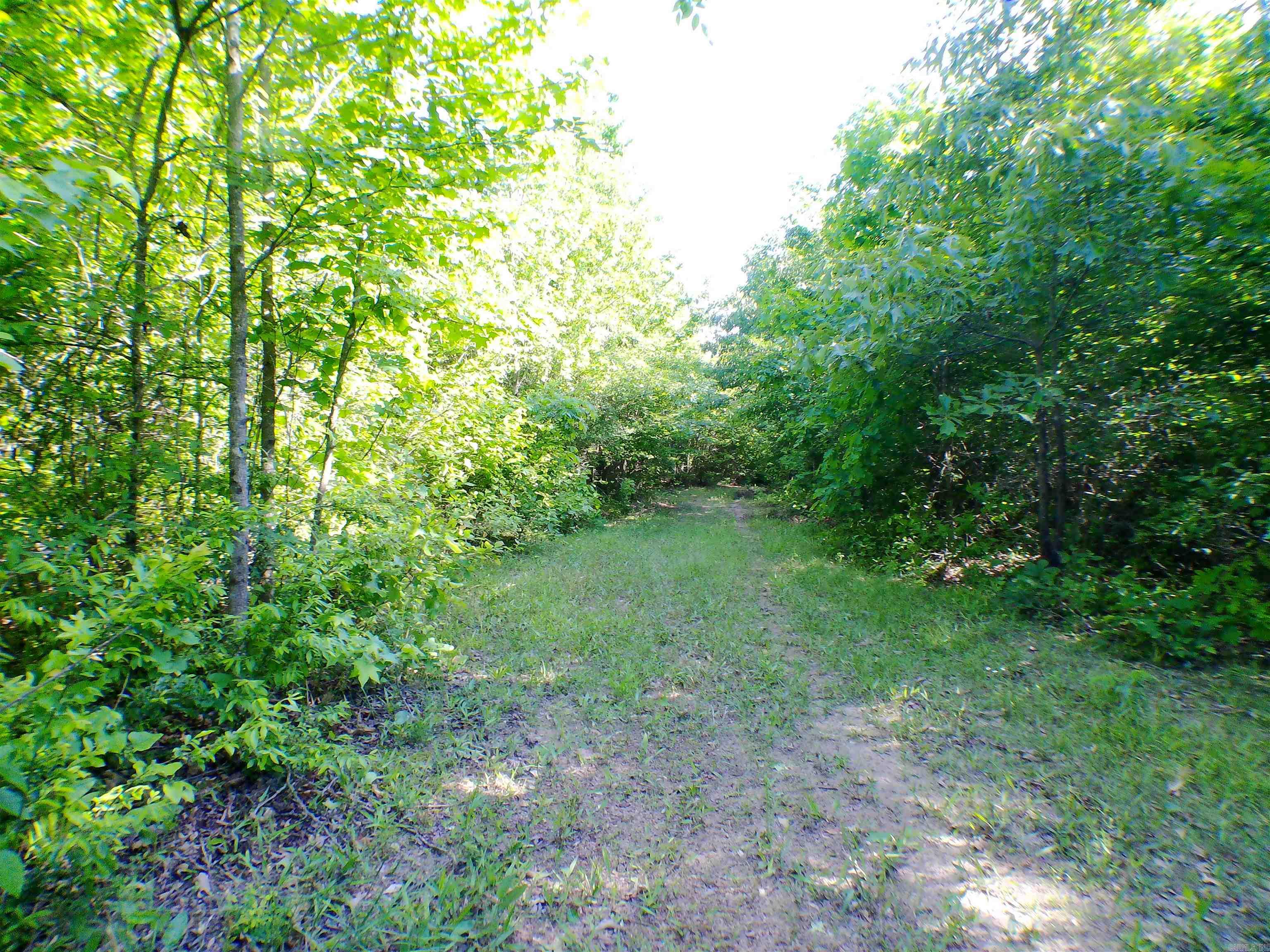 1417 Skyline Dr  Amity, AR