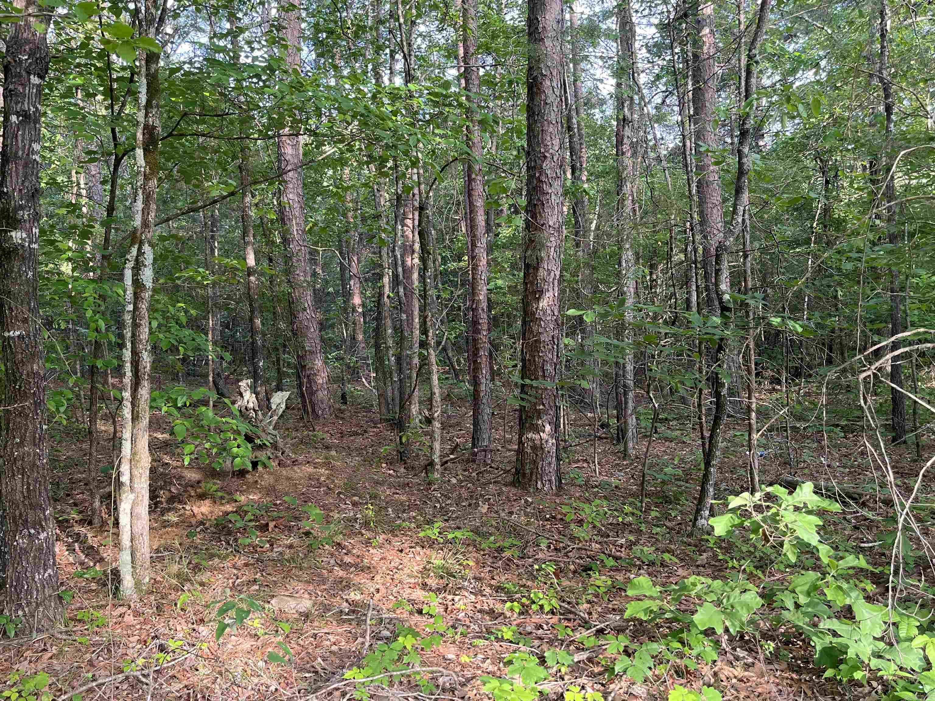 Lot 22 Brown Road  Greers Ferry, AR