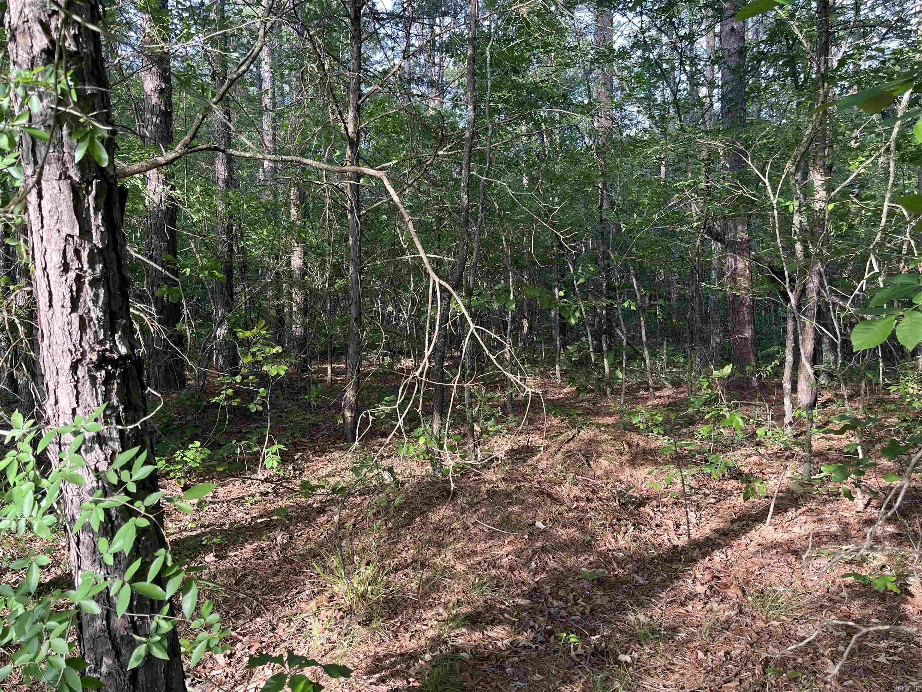 Lot 23 Brown Road  Greers Ferry, AR