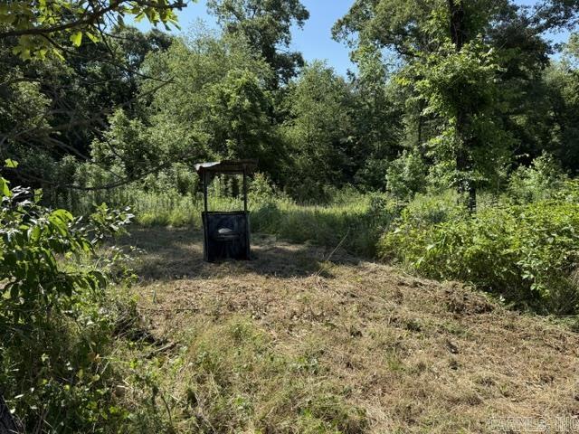 478 County Road 3173  Hartman, AR