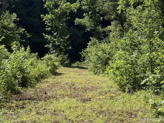 478 County Road 3173  Hartman, AR