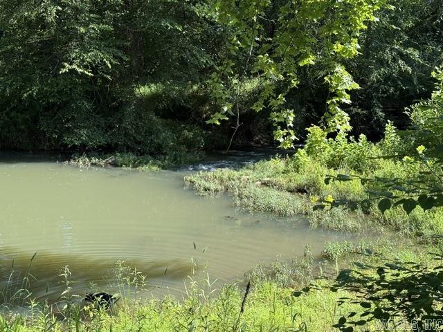 478 County Road 3173  Hartman, AR