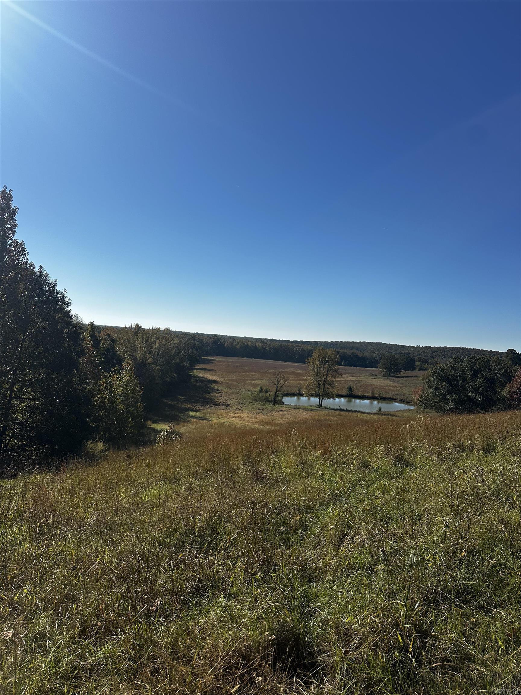 120 Poindexter LN  McRae, AR