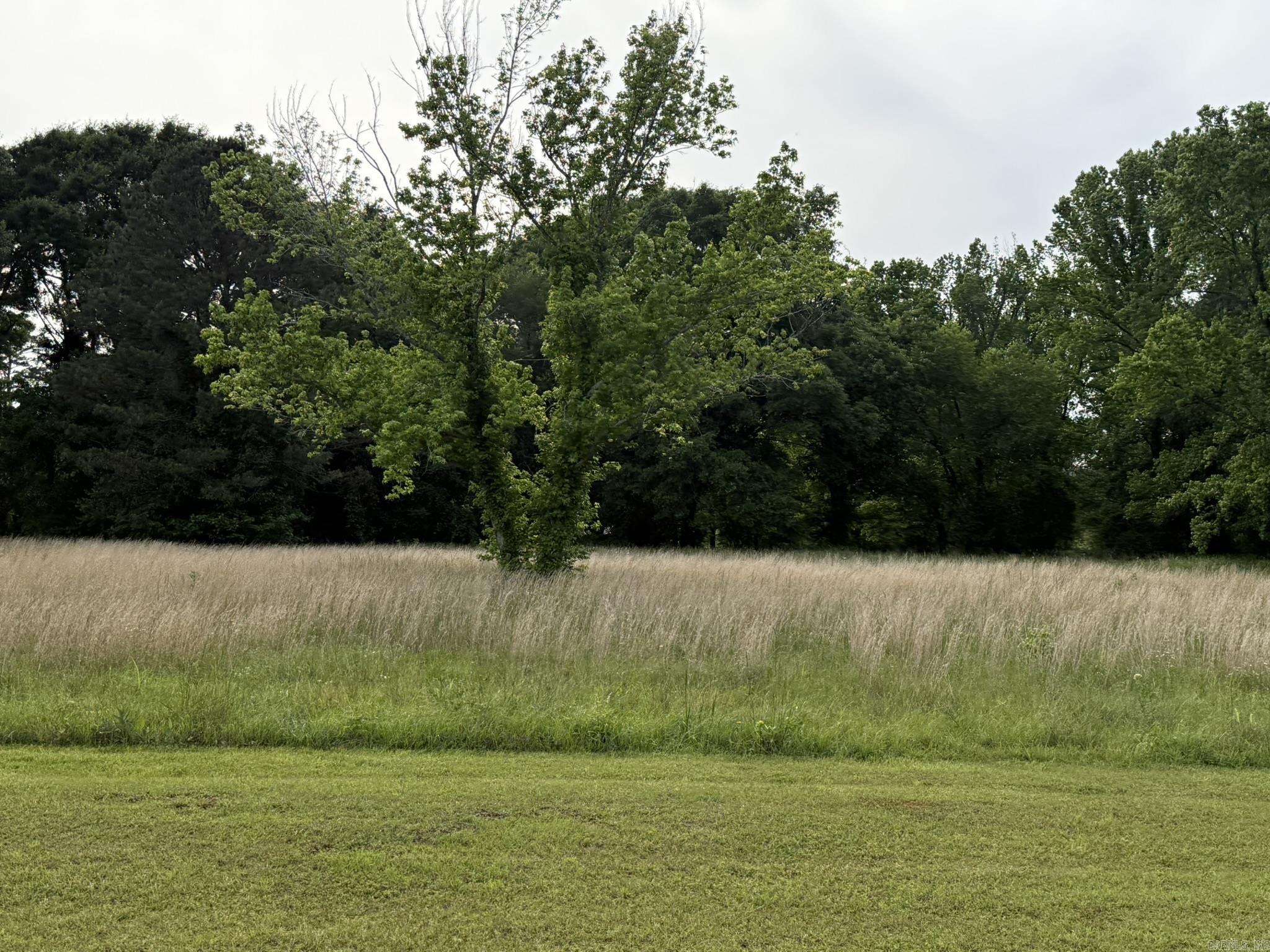 TBD Trenton Blvd.  Nashville, AR