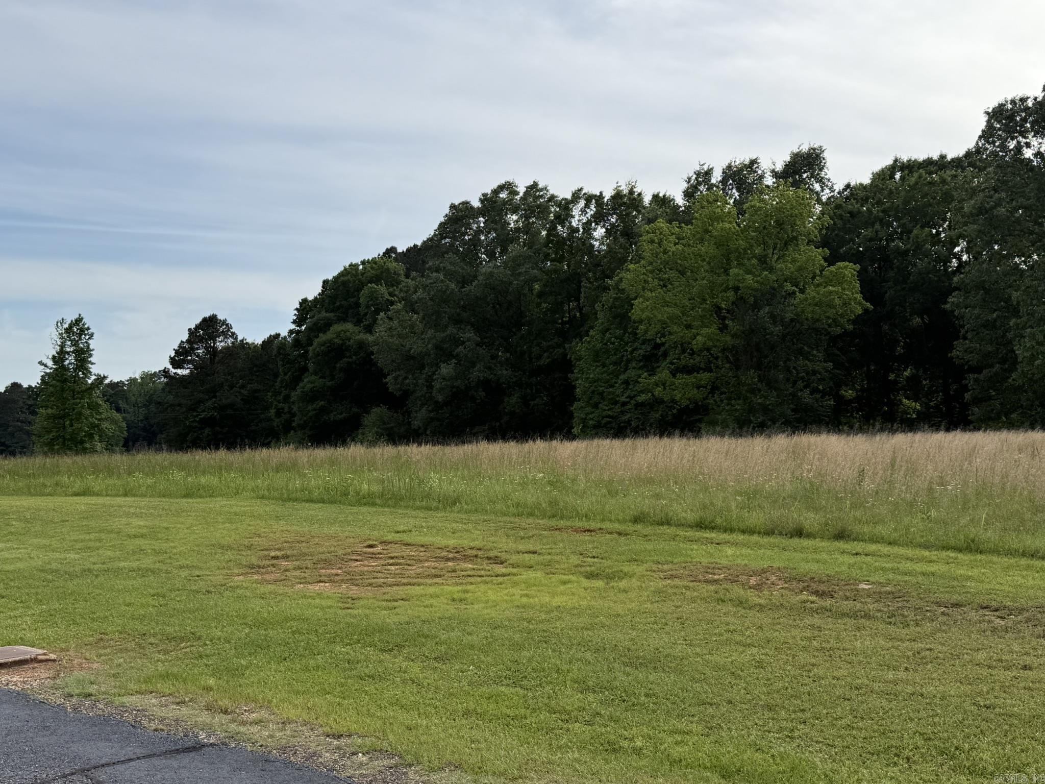 TBD Trenton Blvd.  Nashville, AR