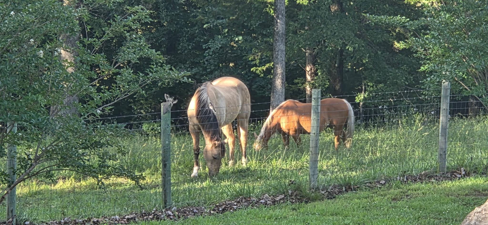 6633 Hwy 201 S  Mountain Home, AR