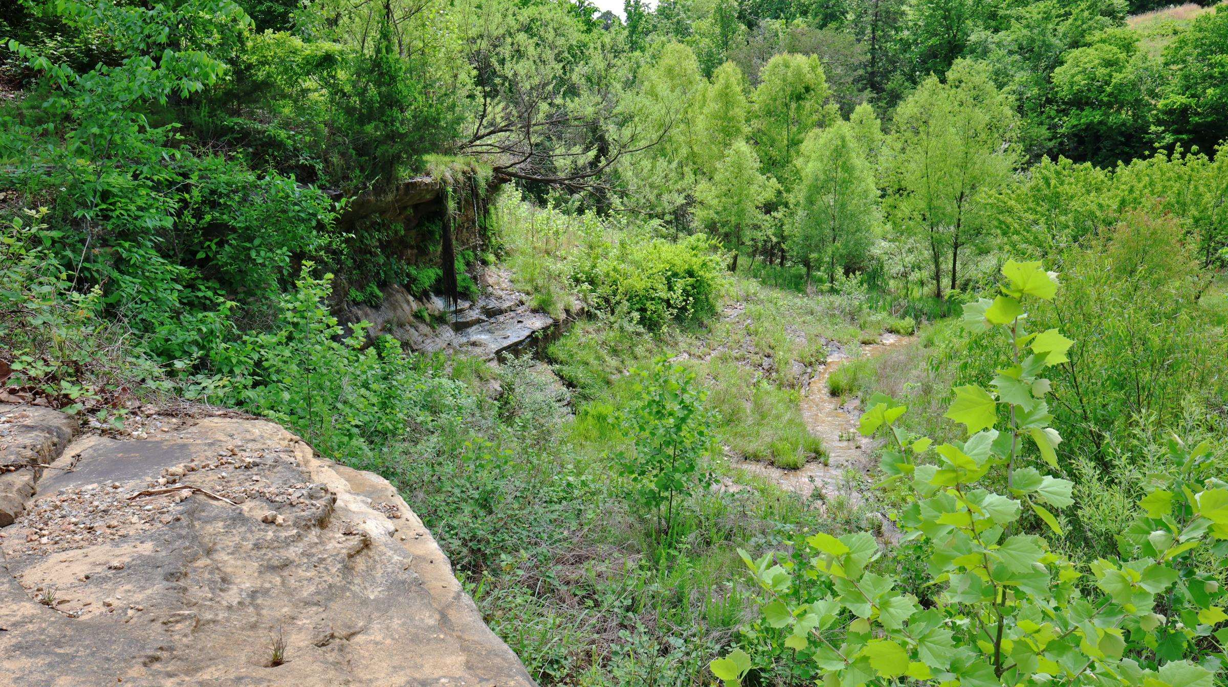 6039 S State Highway 9 Melbourne, AR 72556
