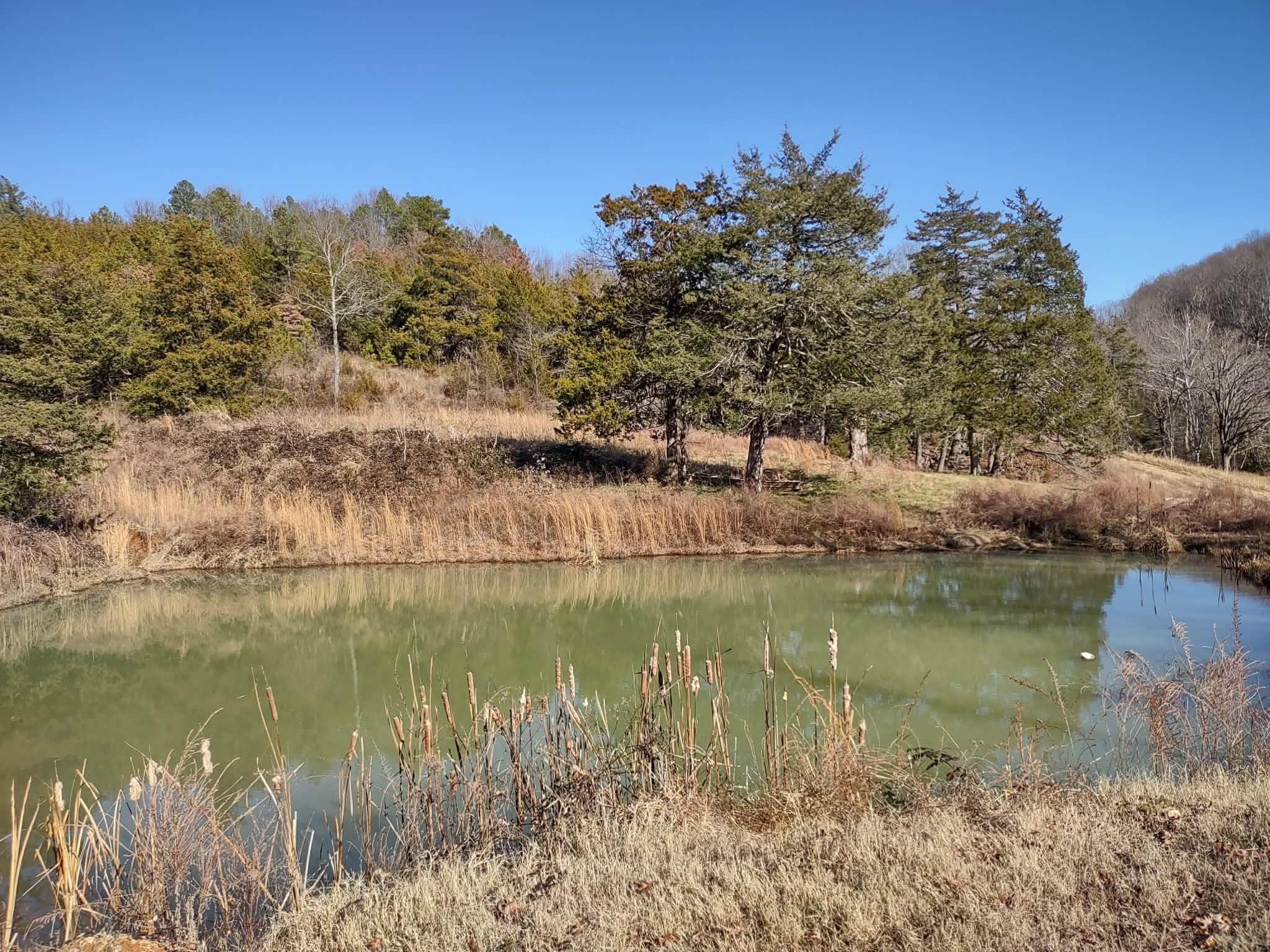 6039 S State Highway 9 Melbourne, AR 72556