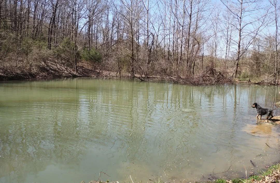 6039 S State Highway 9 Melbourne, AR 72556