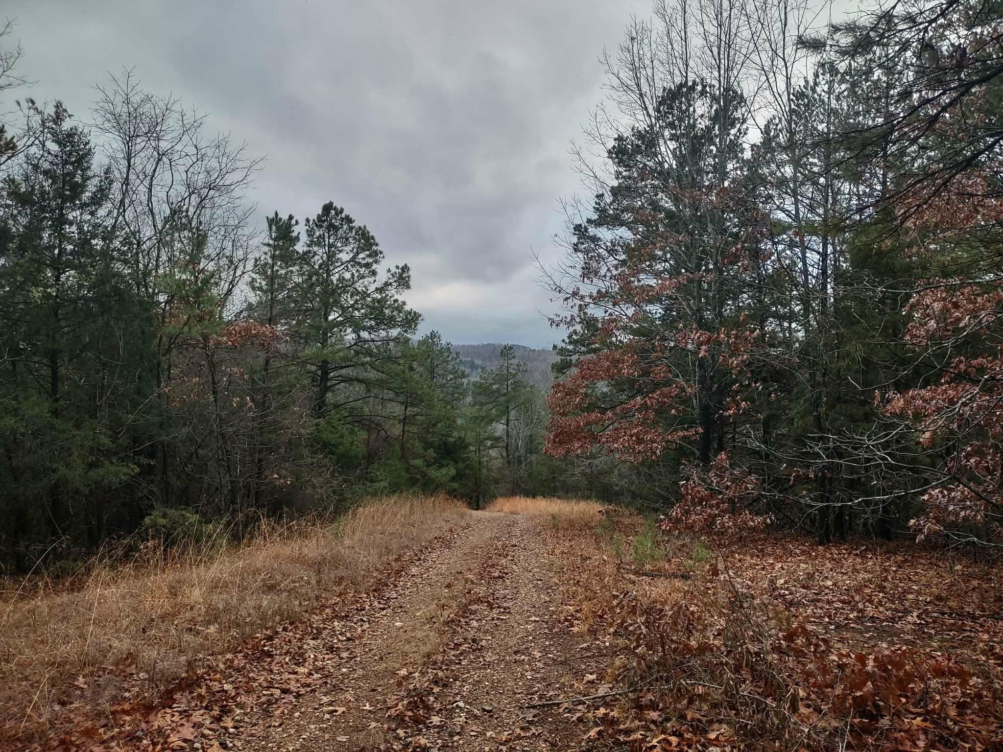 6039 S State Highway 9 Melbourne, AR 72556