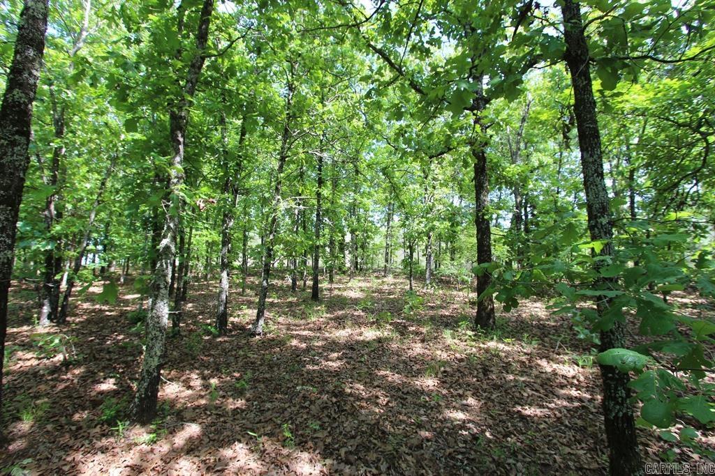 74 7 Lakes Ranch Blvd  Conway, AR