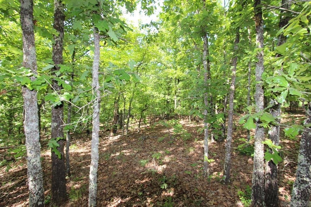 74 7 Lakes Ranch Blvd  Conway, AR
