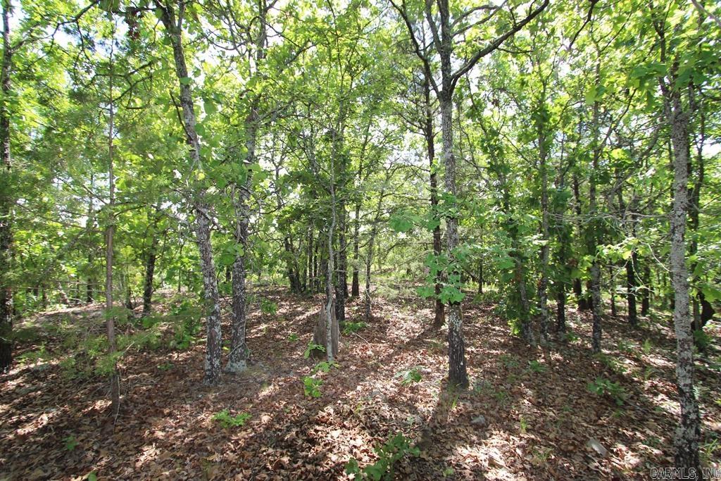 10 Sierra Sunset Cove  Conway, AR