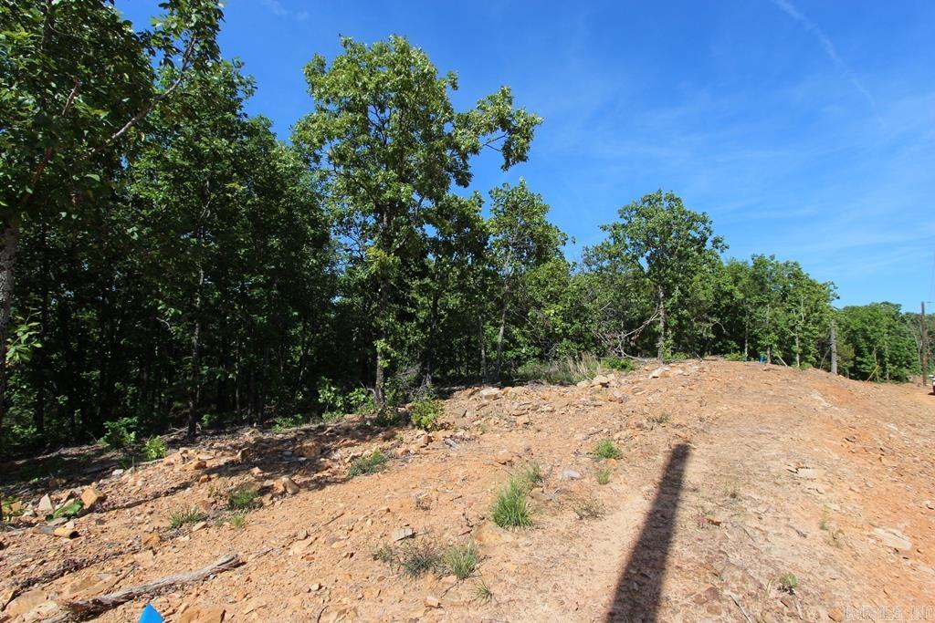10 Sierra Sunset Cove  Conway, AR