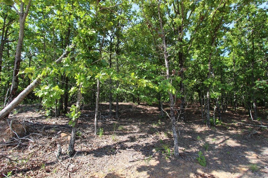 10 Sierra Sunset Cove  Conway, AR
