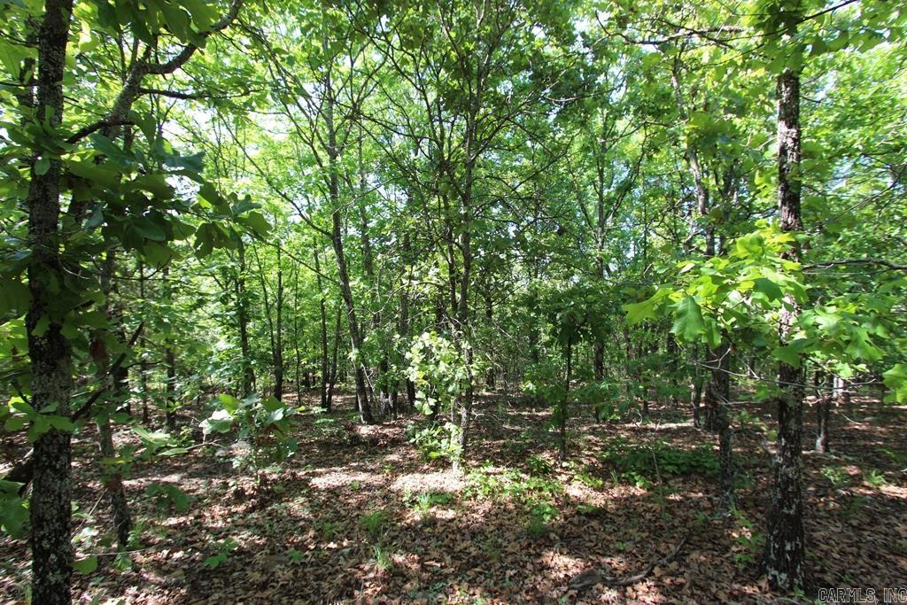 10 Sierra Sunset Cove  Conway, AR
