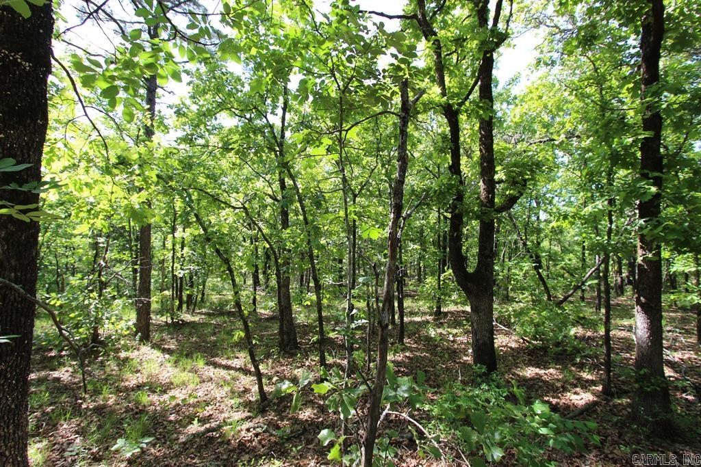 14 Sierra Sunset Cove  Conway, AR