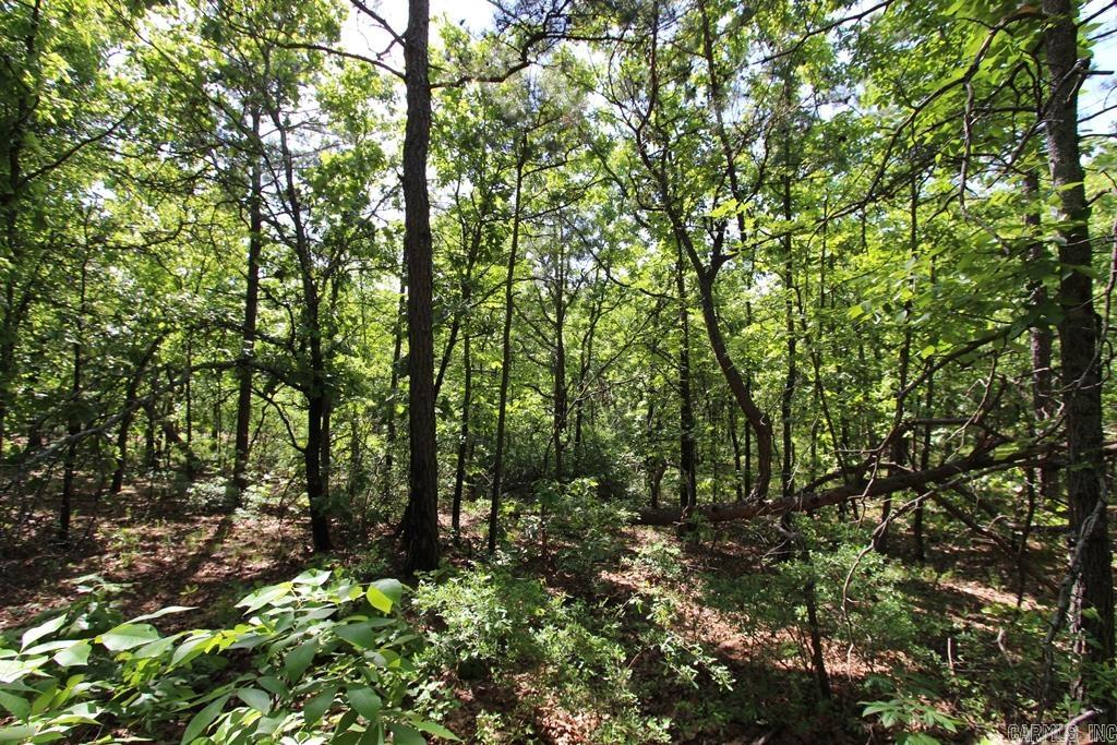 14 Sierra Sunset Cove  Conway, AR