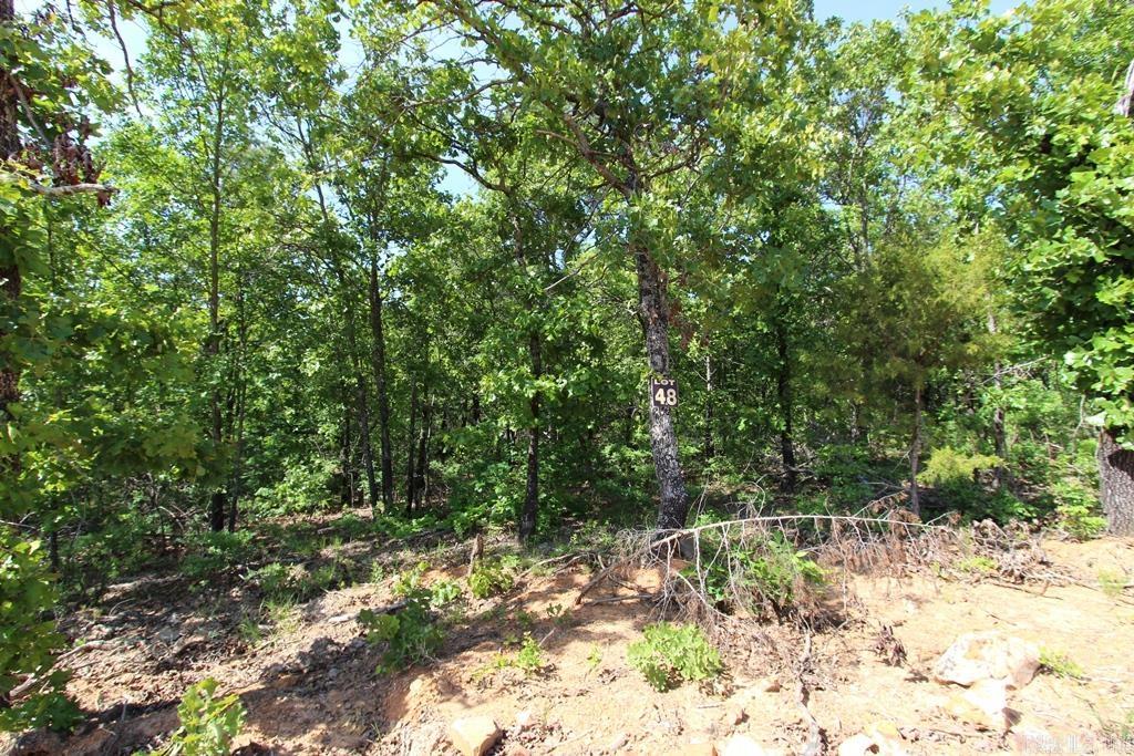 14 Sierra Sunset Cove  Conway, AR