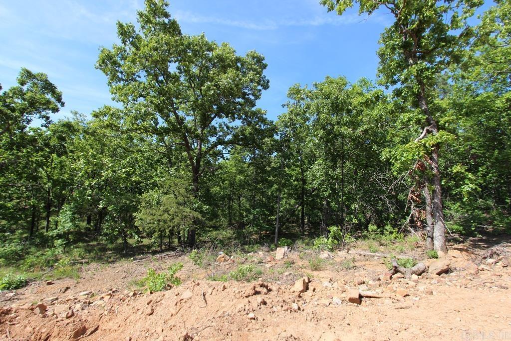 14 Sierra Sunset Cove  Conway, AR