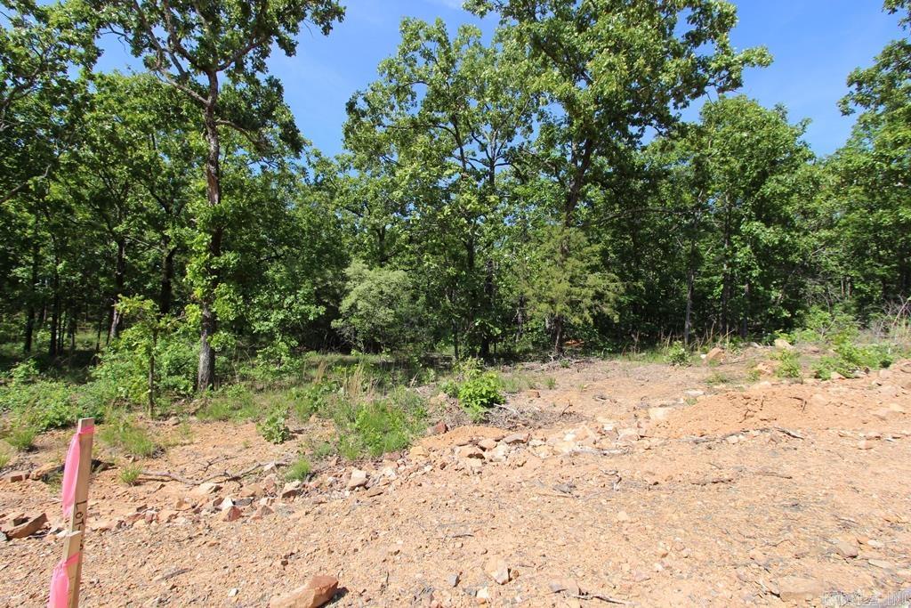 14 Sierra Sunset Cove  Conway, AR