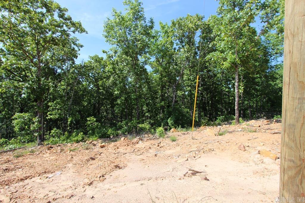 14 Sierra Sunset Cove  Conway, AR