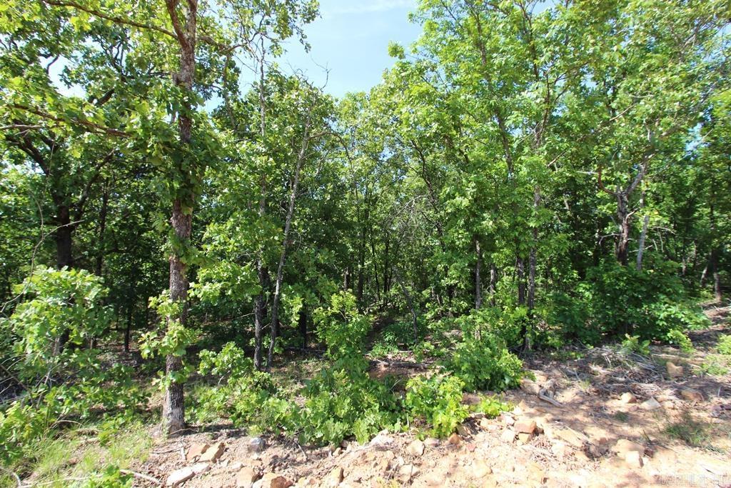 14 Sierra Sunset Cove  Conway, AR