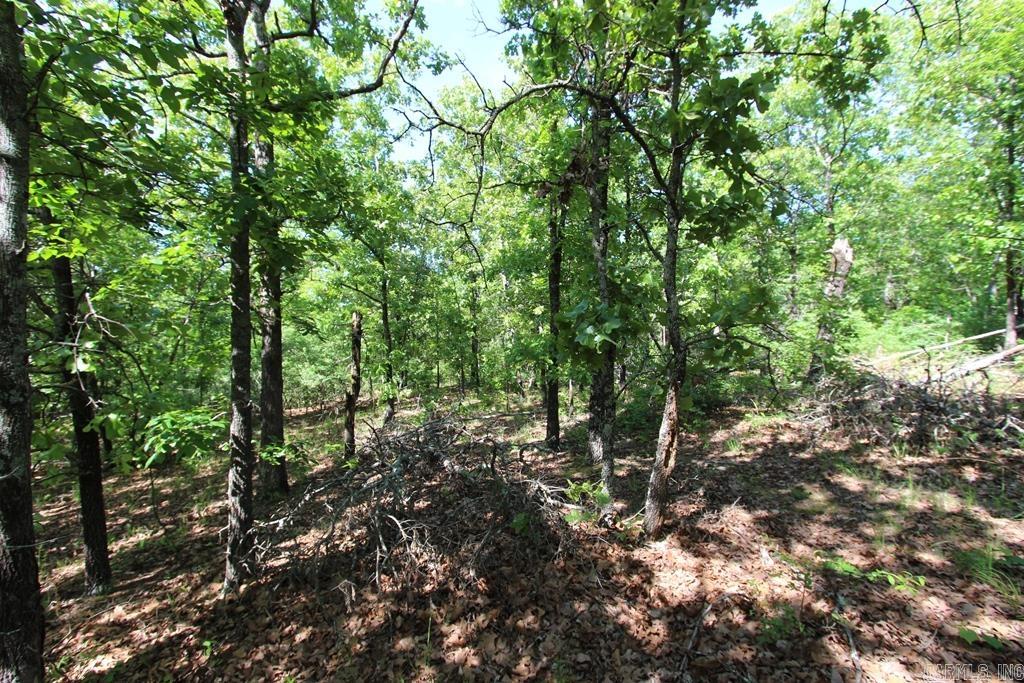 14 Sierra Sunset Cove  Conway, AR