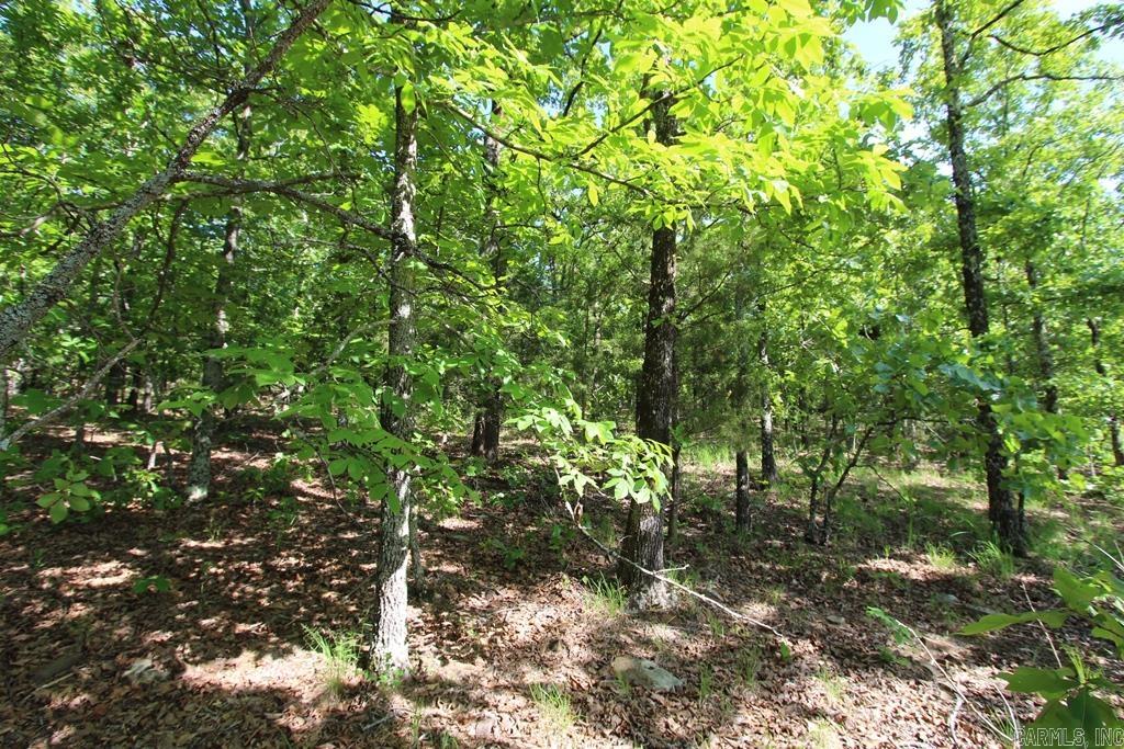 53 Sierra Sunset Cove  Conway, AR