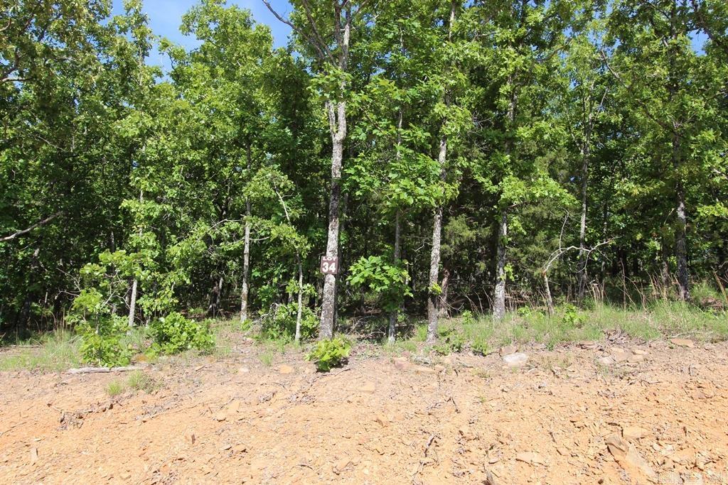 53 Sierra Sunset Cove  Conway, AR